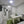 Skyview Ranch Blvd - Airbnb Legal Basement