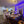 Lakepointe Drive - House Renovations/Interiors
