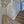Hotchkiss Ave - Walkout Secondary Suite